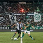 botafogo x palmeiras